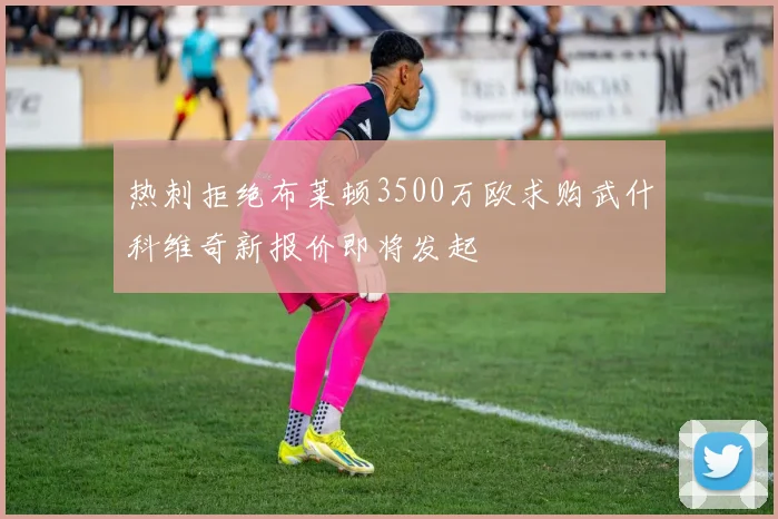 热刺拒绝布莱顿3500万欧求购武什科维奇新报价即将发起